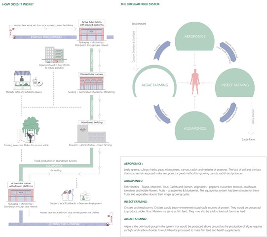 Fundamentals of The Lifeline 