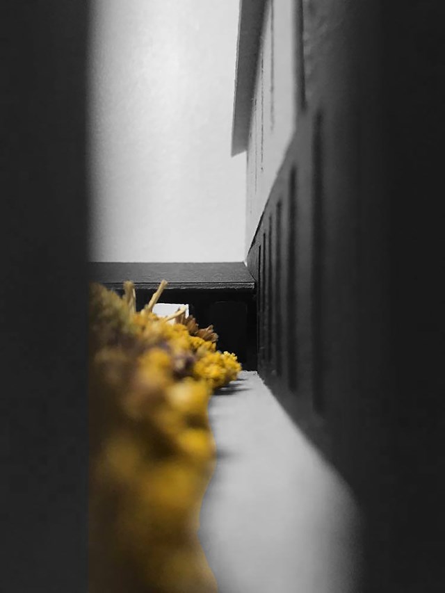 Long View Through Wild Flower Garden to Entrance