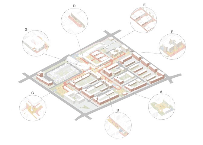 DFN Masterplan Zones