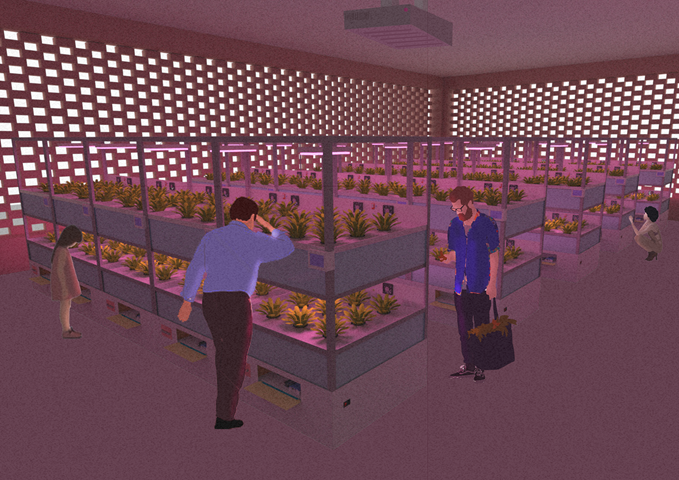 Hydroponics Internal View Illustration